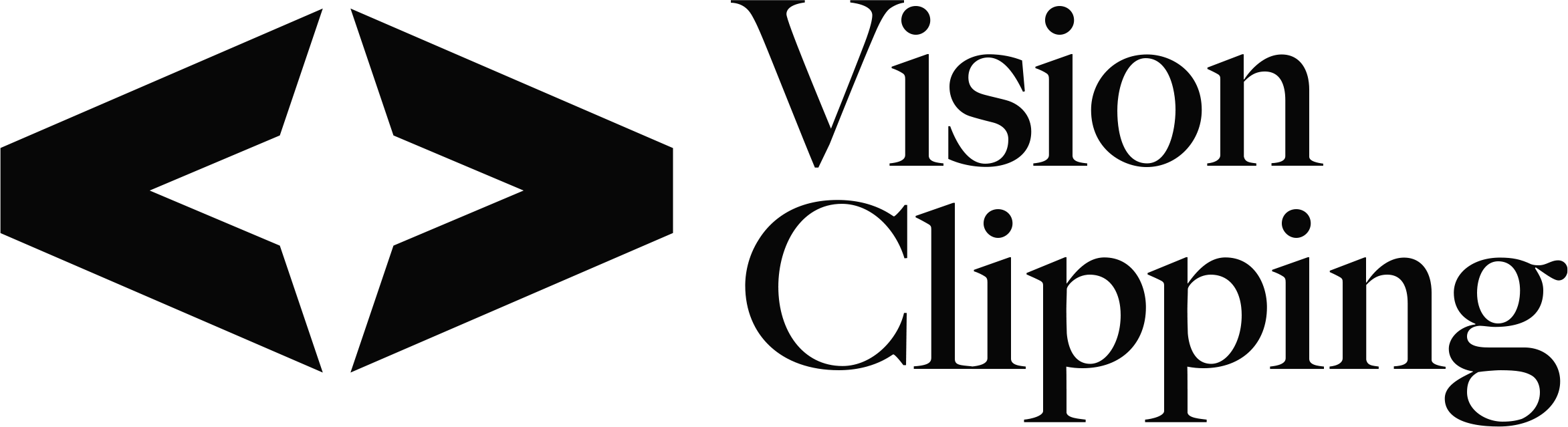 Vision Clipping